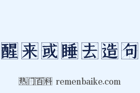 醒来或睡去造句是什么意思的图片